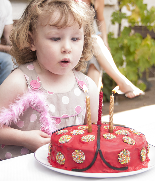 ladybird cake