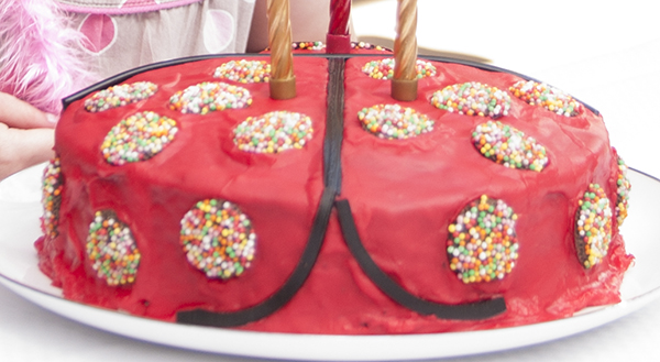 ladybird cake