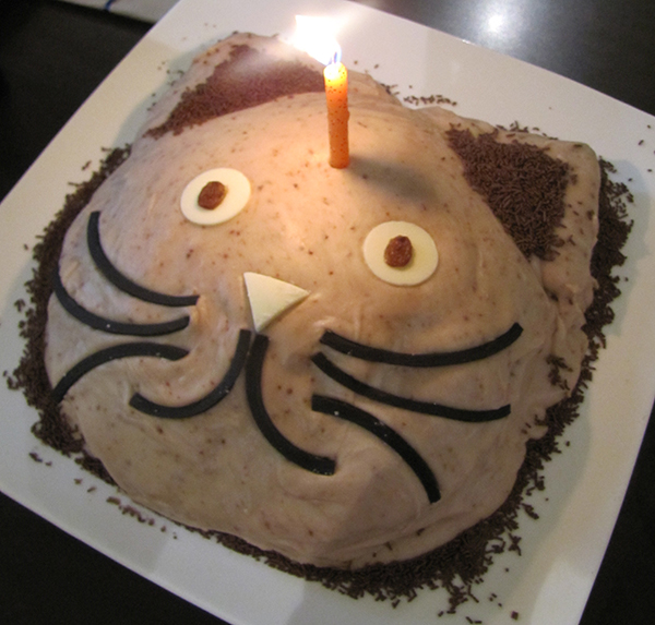 cat cake