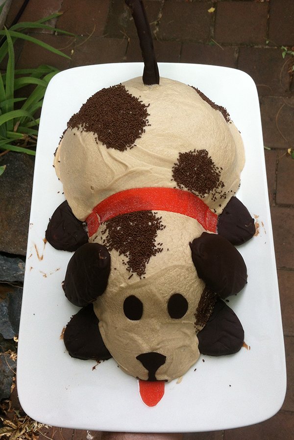 dog cake